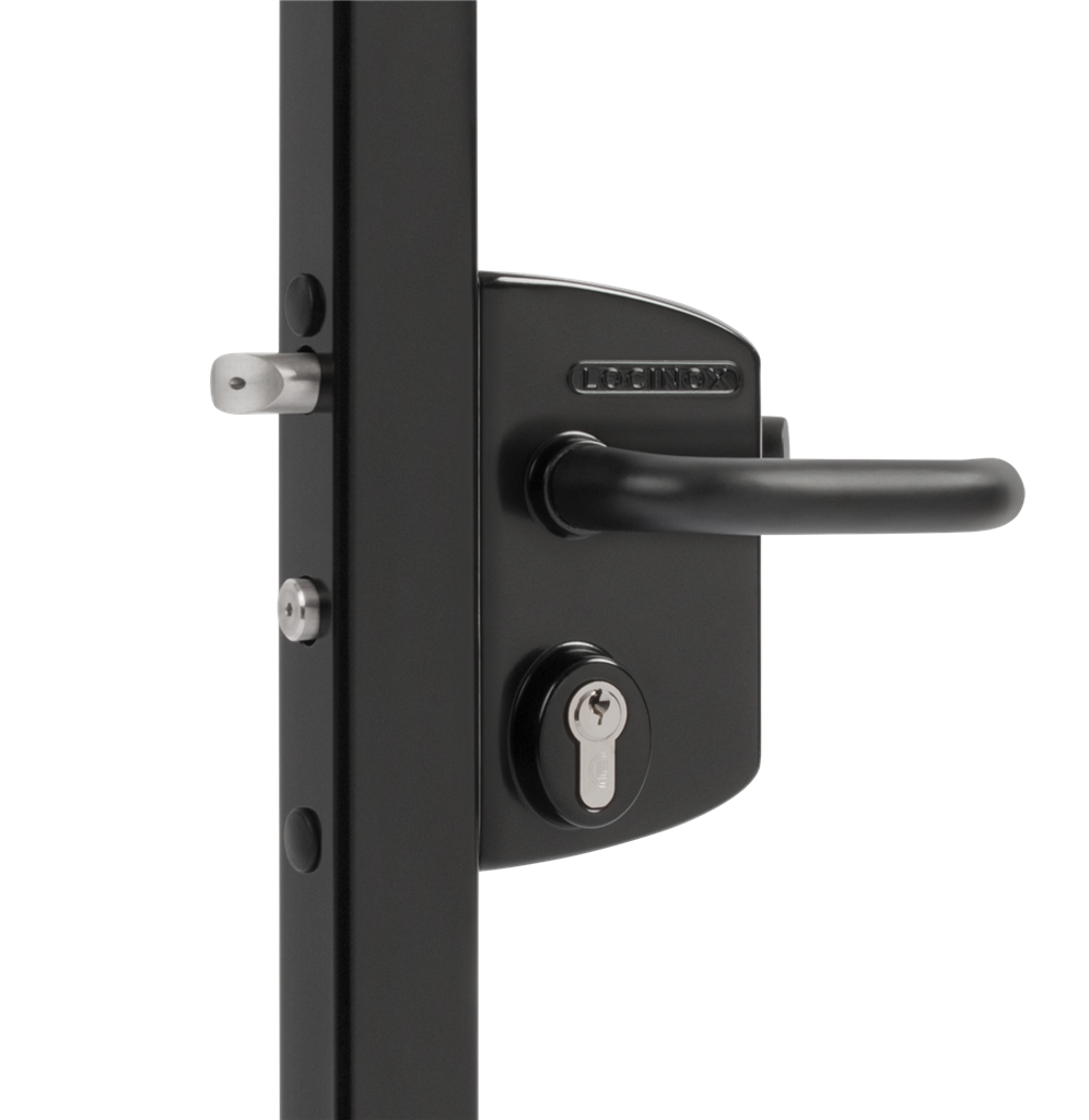 Surface mounted gate lock