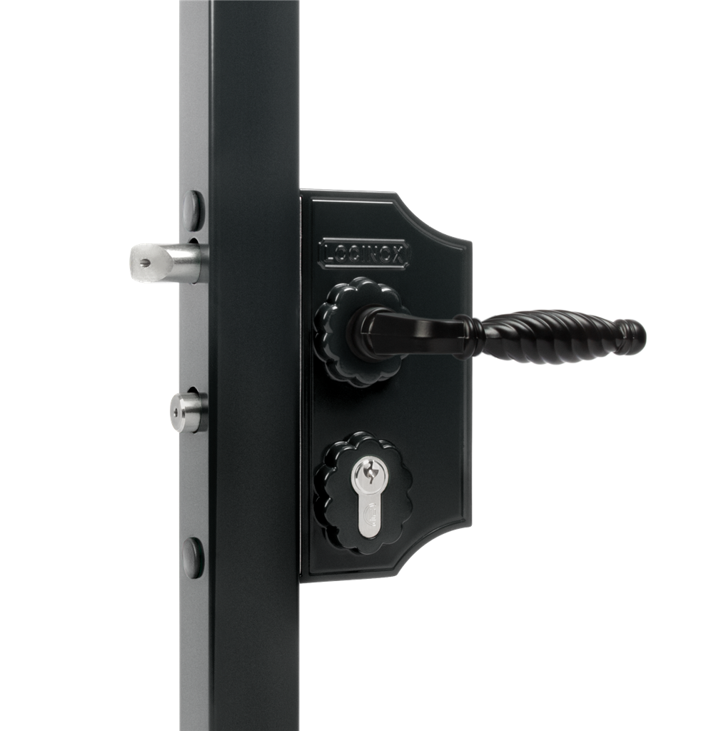 Small surface mounted ornamental gate lock
