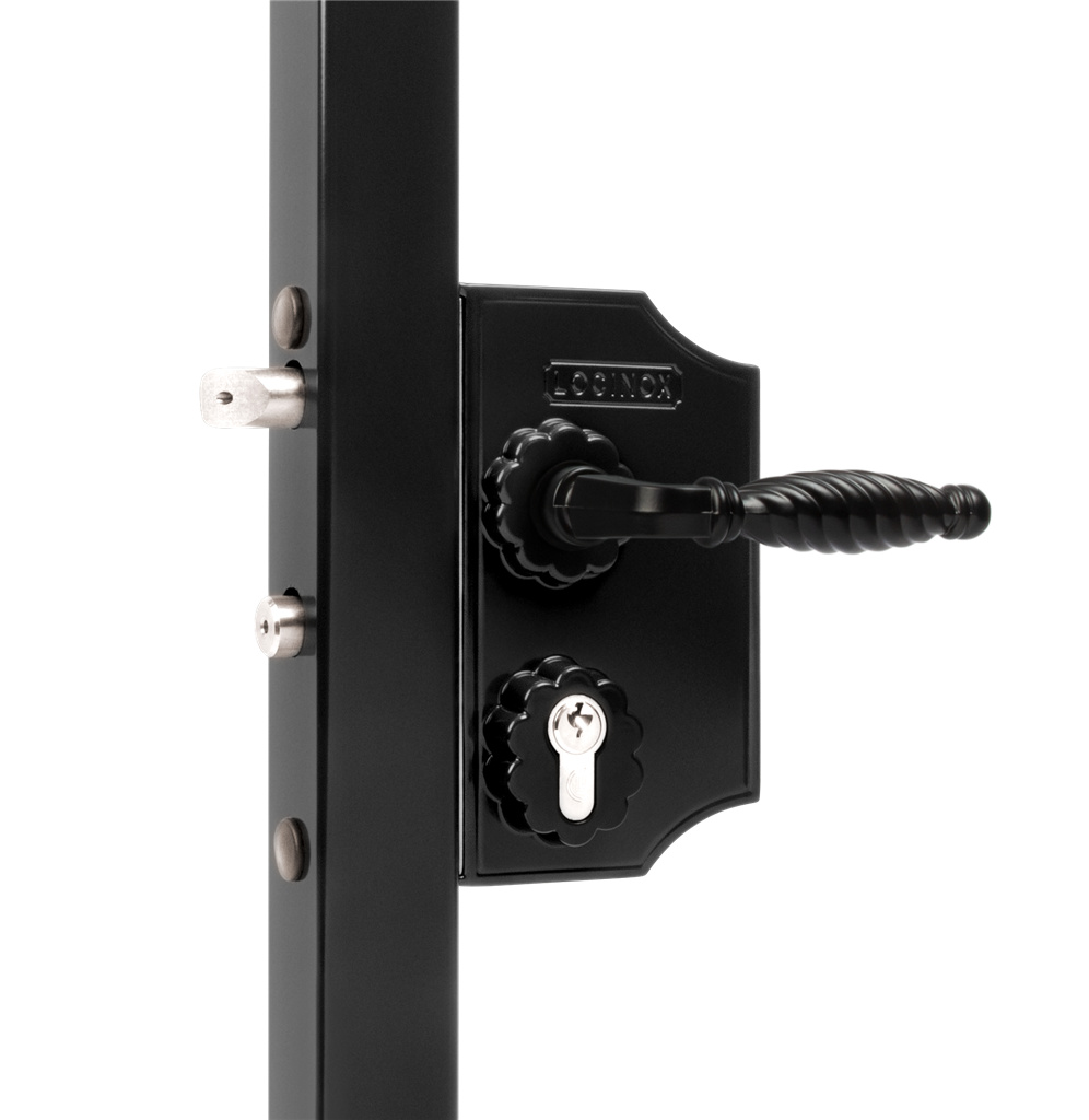 Large surface mounted ornamental gate lock