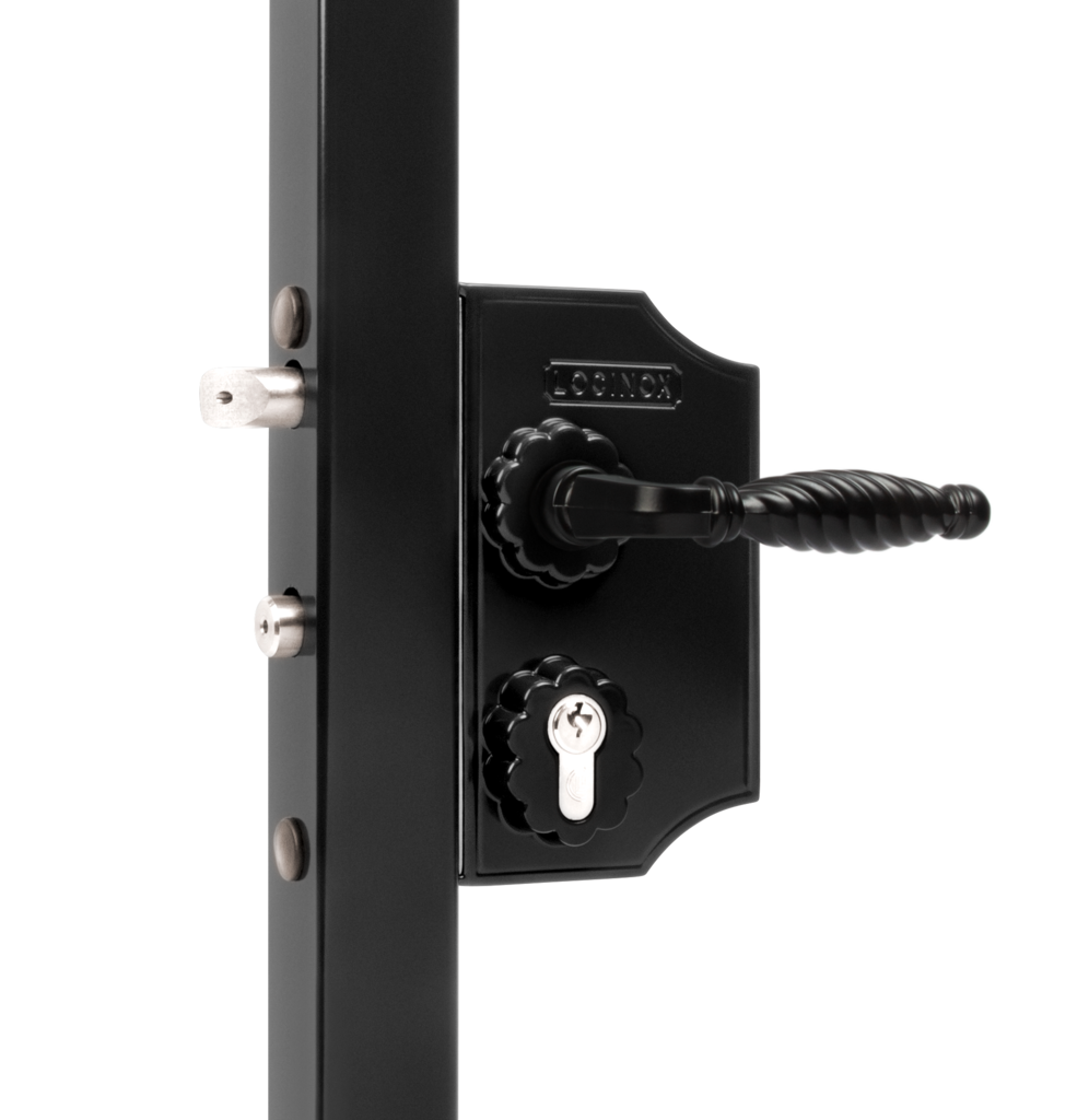 Large surface mounted ornamental gate lock