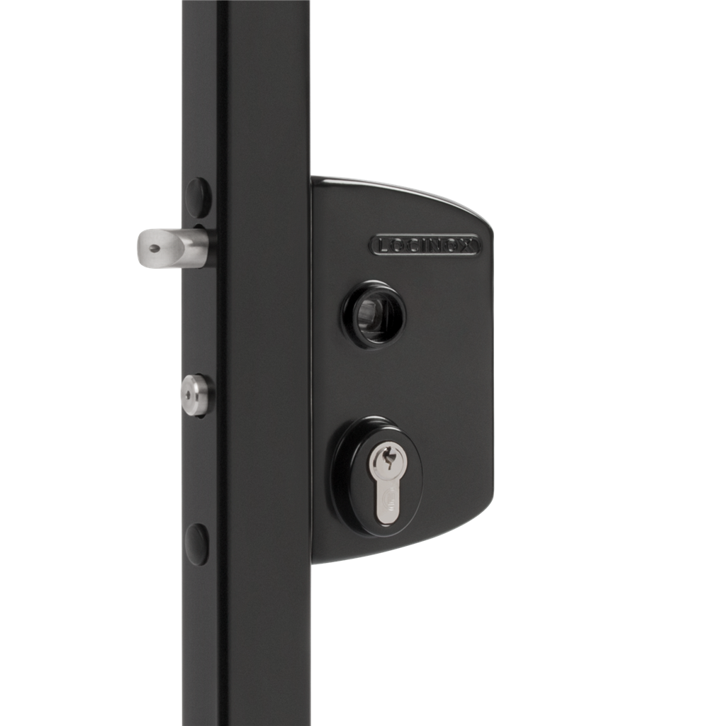 Surface mounted gate lock