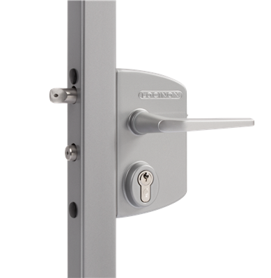 Surface mounted gate lock
